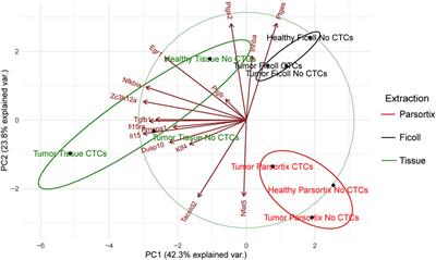 Cyclooxygenase 2 Effector Genes as Potential Inflammation-Related Biomarkers for Colorectal Cancer Circulating Tumor Cells Detection by Liquid Biopsy